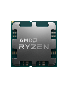 AMD CPU Desktop Ryzen 5...